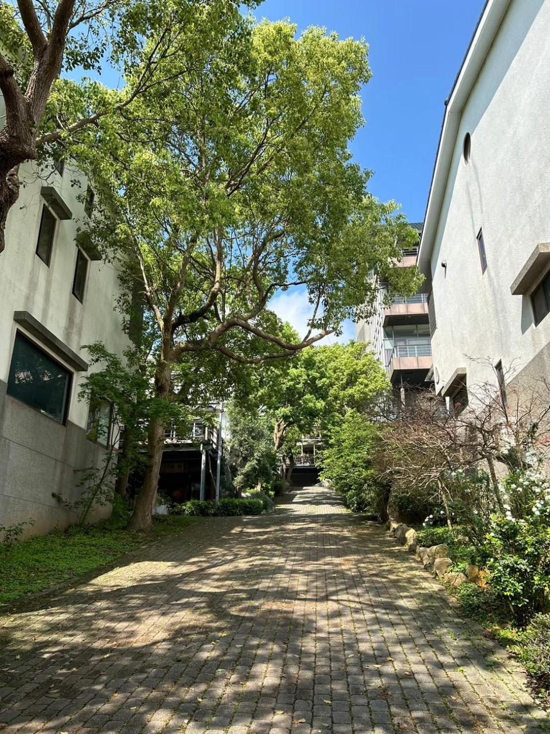 Miaoli Sanyi Travelling Homestay Esterno foto